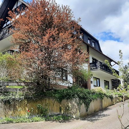 Ferienwohnung Bergblick هالنغبرغ المظهر الخارجي الصورة